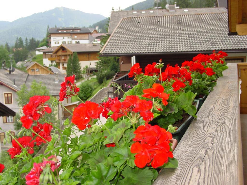 Ciasa Rudiferia Appartamenti In Alta Badia Luaran gambar