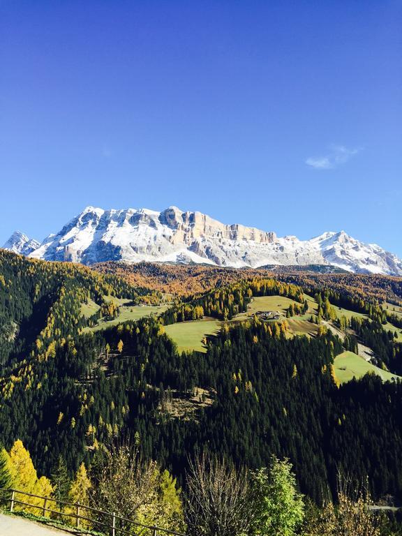 Ciasa Rudiferia Appartamenti In Alta Badia Luaran gambar