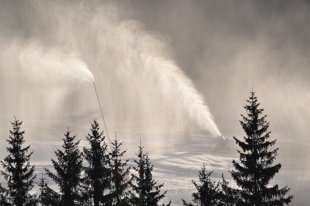 Ciasa Rudiferia Appartamenti In Alta Badia Luaran gambar