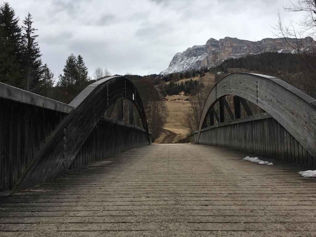 Ciasa Rudiferia Appartamenti In Alta Badia Luaran gambar